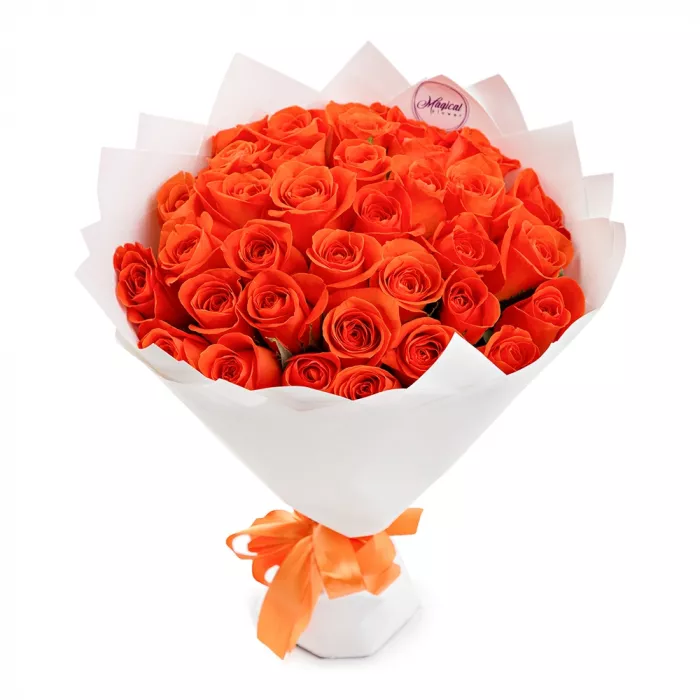oranzevie.webp